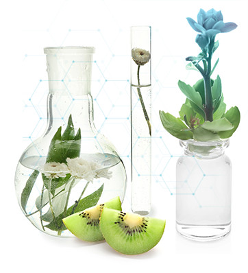 Glass bottles and a test tube filled with flowers behind slices of kiwi